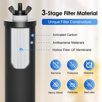 Carbon Filter Replacement (2 Pack)
